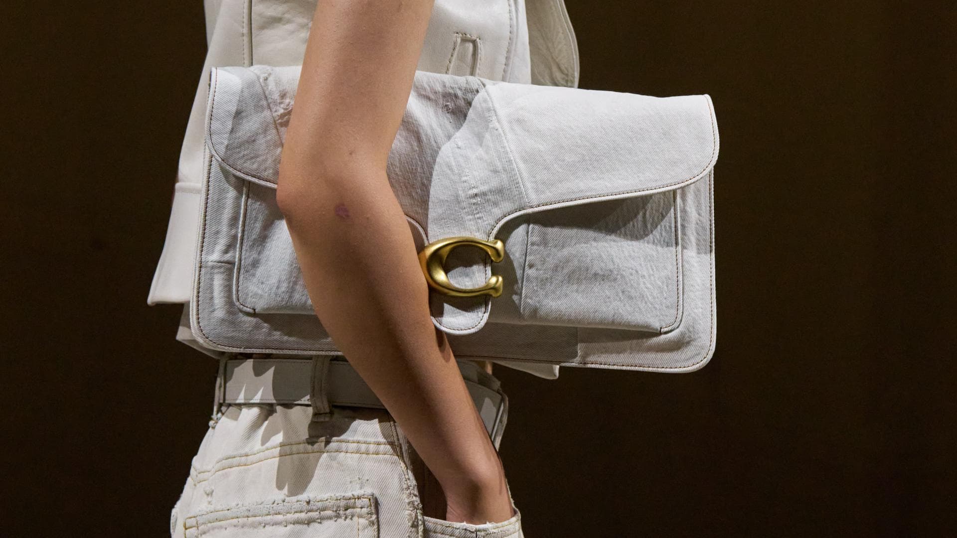 Taschen-Trends-2025-3-Coach-Bags-die-du-jetzt-auf-dem-Radar-haben-solltest