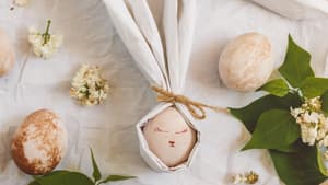 Ostern Deko Serviette Hase Ostereier