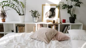 Bett mit Kissen und Pflanzen, die auf enem Regal stehen