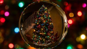 Bunte Lichterkette und Weihnachtsbaum in Kugel