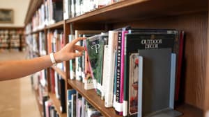 Bücherregal