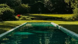 Pool im Garten