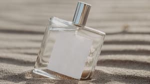Parfum Meer