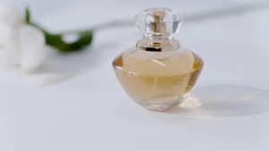 Parfums mit Ylang-Ylang