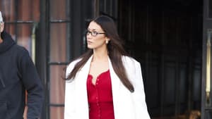 Bella Hadid Outfit