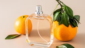 Mandarine Basilikum Parfum 