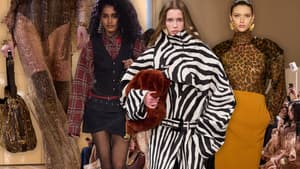 Muster-Trends