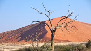 Die Landschaft Namibias