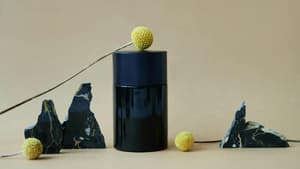 Parfum-Trends 2026: Dieser japanische Duft hat uns sofort überzeugt