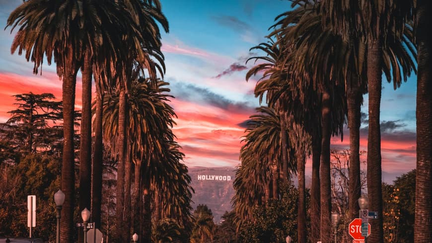 Hollywood 