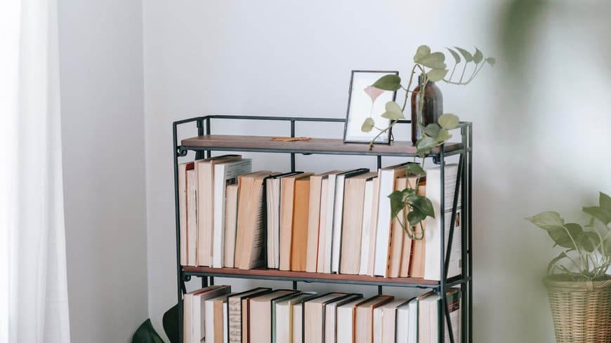 Bücherregal