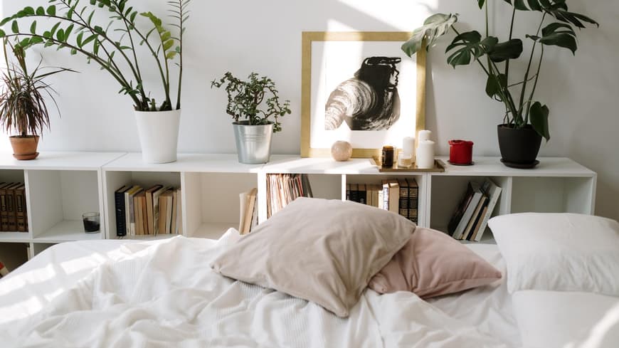 Bett mit Kissen und Pflanzen, die auf enem Regal stehen