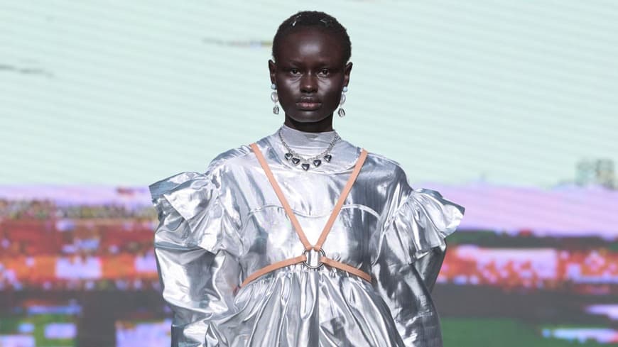 Metallic Kleid Alex S. Yu