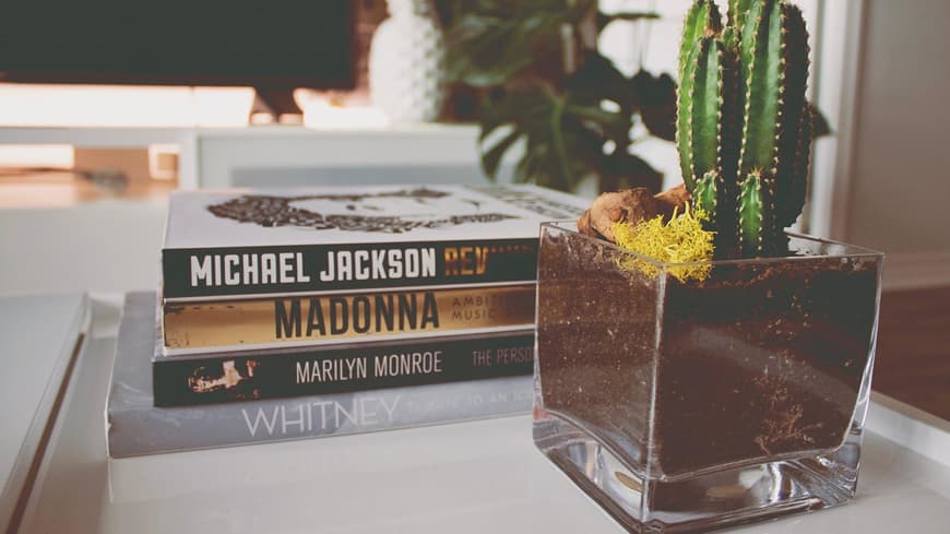 Dekorieren mit Coffee Table Books