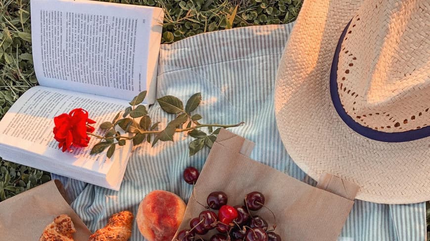 Picknickdecke mit Obst und Buch