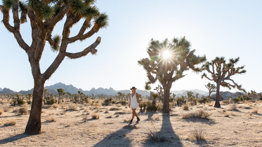 Kalifornische Mojave-Wüste