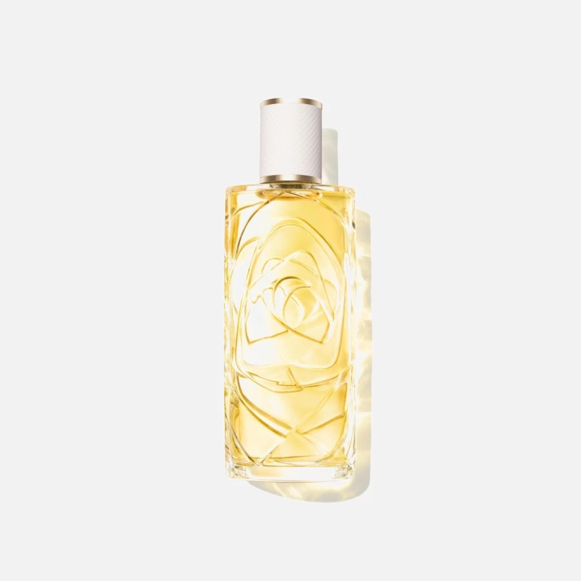 Editor's Picks: Die Grazia-Redaktionslieblinge im Juni Parfum