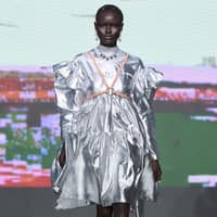 Metallic Kleid Alex S. Yu