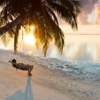 Frau am Traumstand liegt in einer Hängematte, die an einer Palme befestigt ist