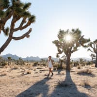 Kalifornische Mojave-Wüste