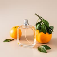 Mandarine Basilikum Parfum 
