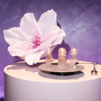 H&M Beauty und e.l.f. Cosmetics launchen eine exklusive Duftkollektion in Berlin