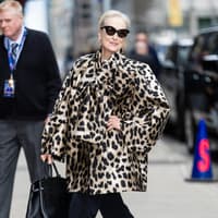 Miranda Priestley & Andy Sachs sind sich einig: Diese It-Brand liefert die Must-have-Bags für 2026