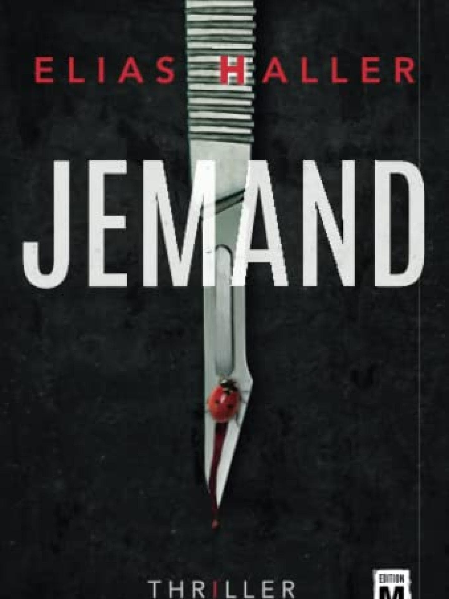 Jemand Elias Haller Buch
