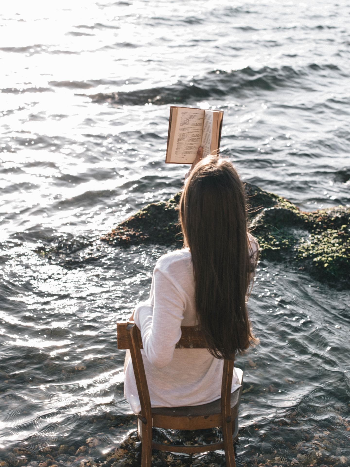 Bücher Trends