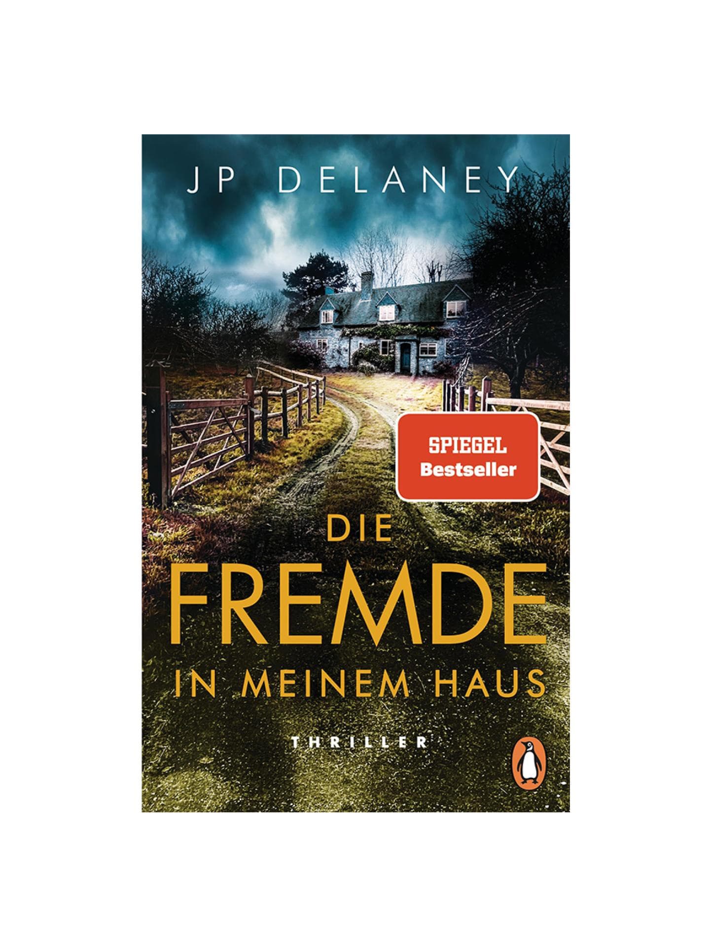 Die Fremde in meinem Haus