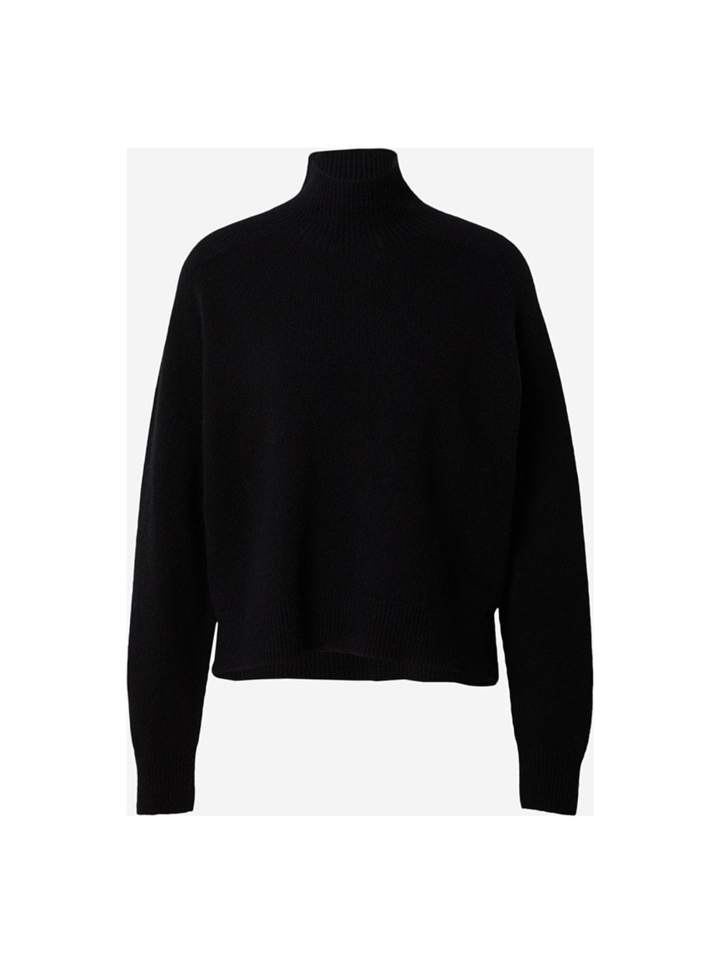 Schwarzer Rollkragenpullover von Drykorn