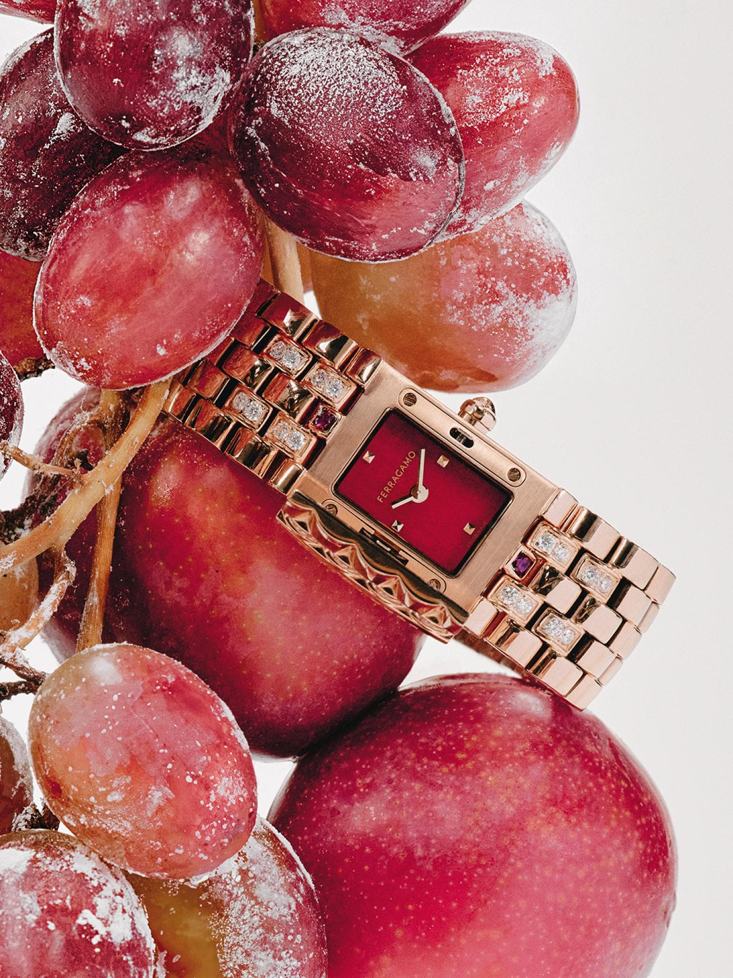 Ferragamo Holiday