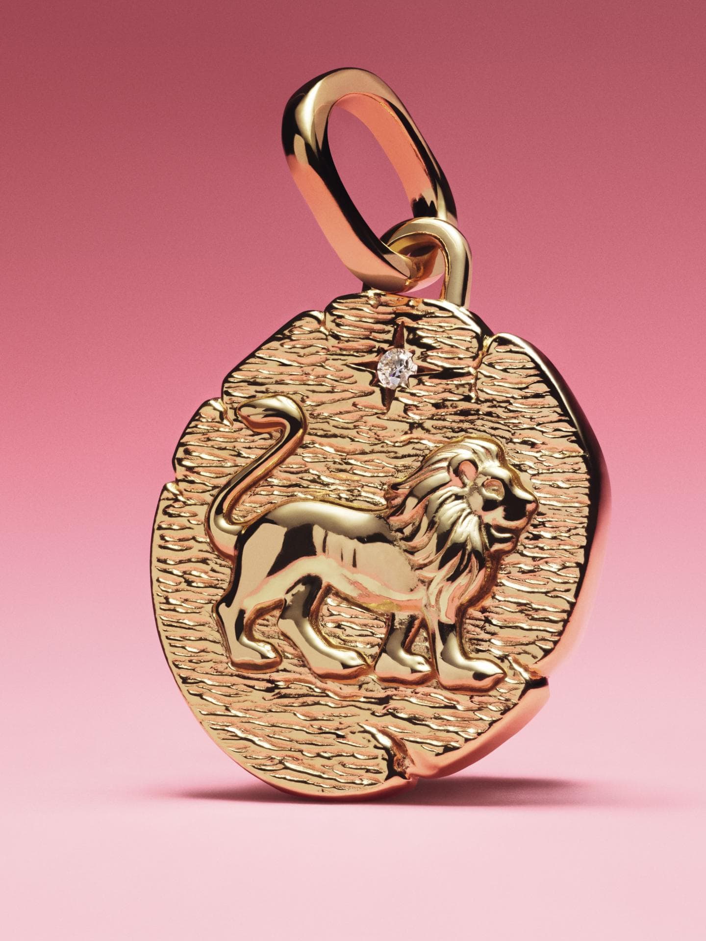 „Vita, Veritas, Virtus“ – „Leben, Ehrlichkeit, Mut“ sind das, was wirklich zählt. An unsere innere Stärke, uns immer zu vergeben und weiterzumachen, soll der Löwe erinnern.