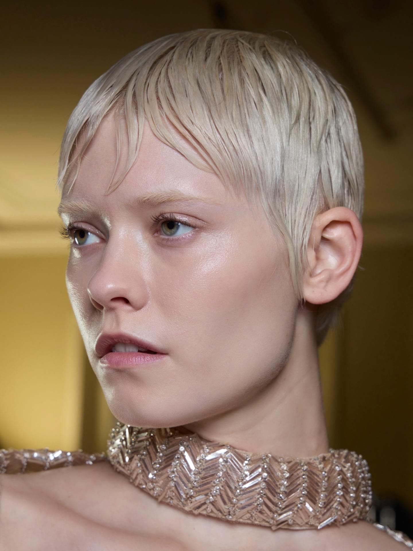Sleek Pixie