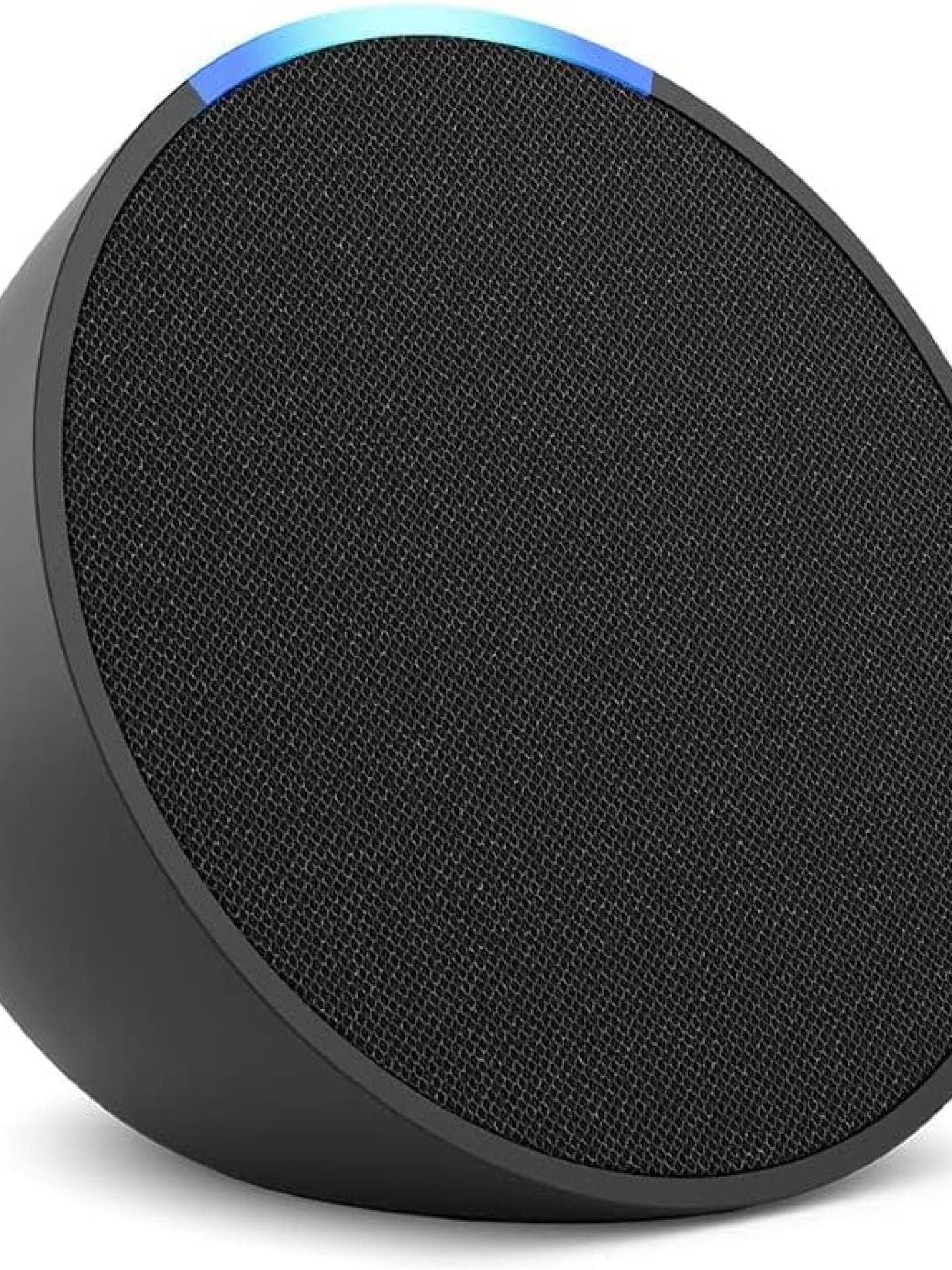 Editor's Picks Dezember