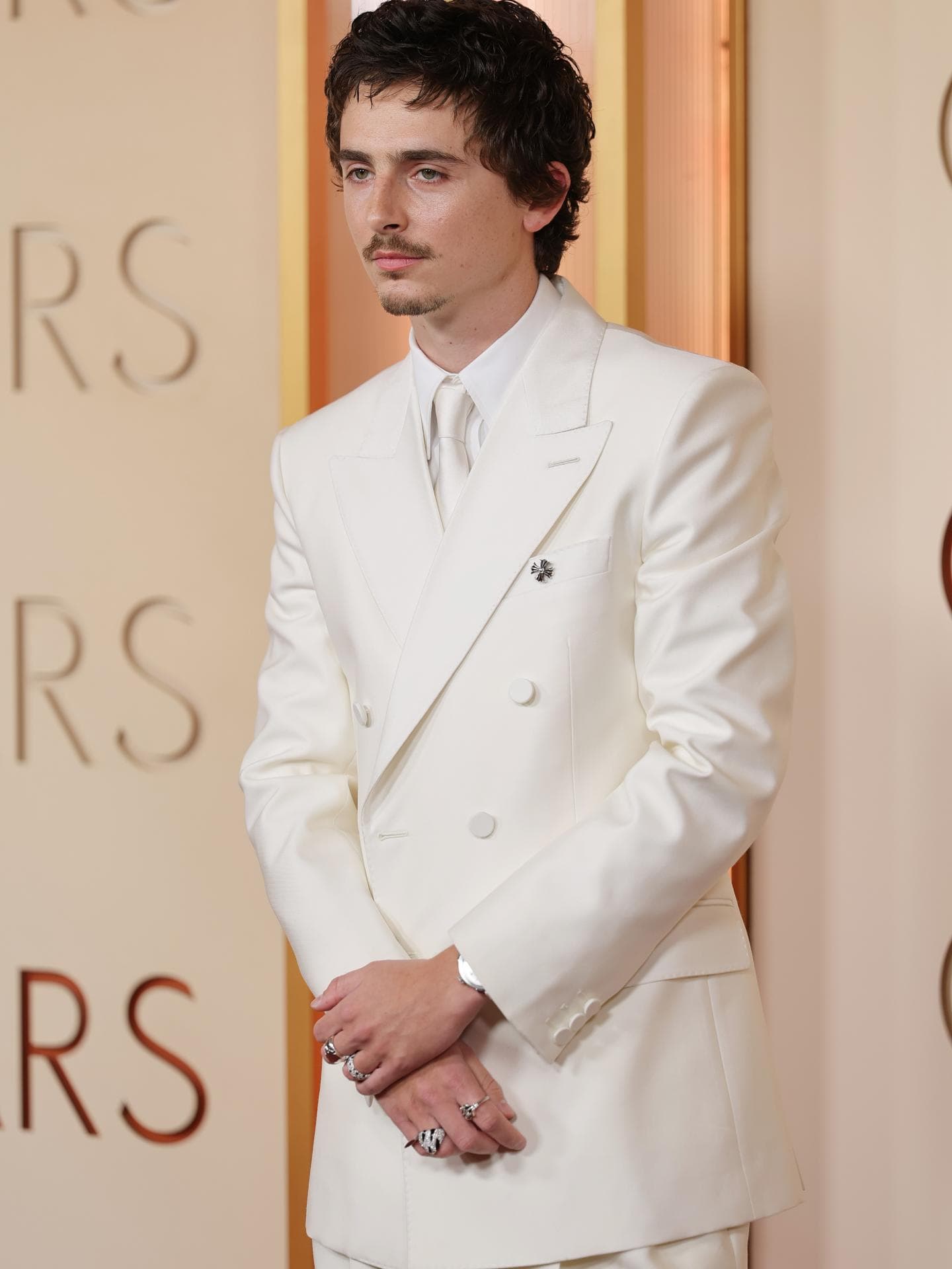 Die Trendfarbe der Oscars 2026 ist das schönste Fashion-Statement, das wir uns vorstellen können