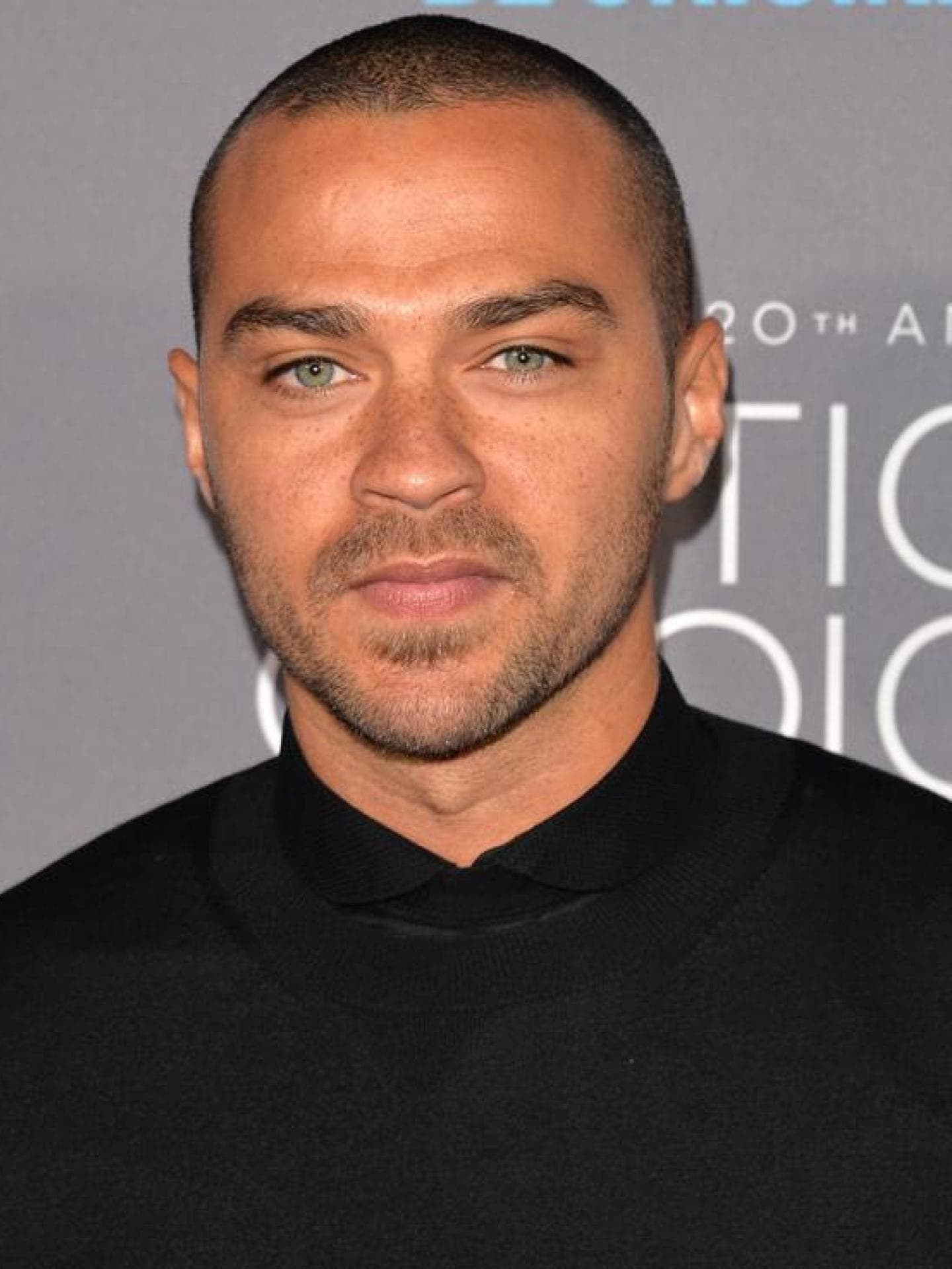 Serienschauspieler: Jesse Williams