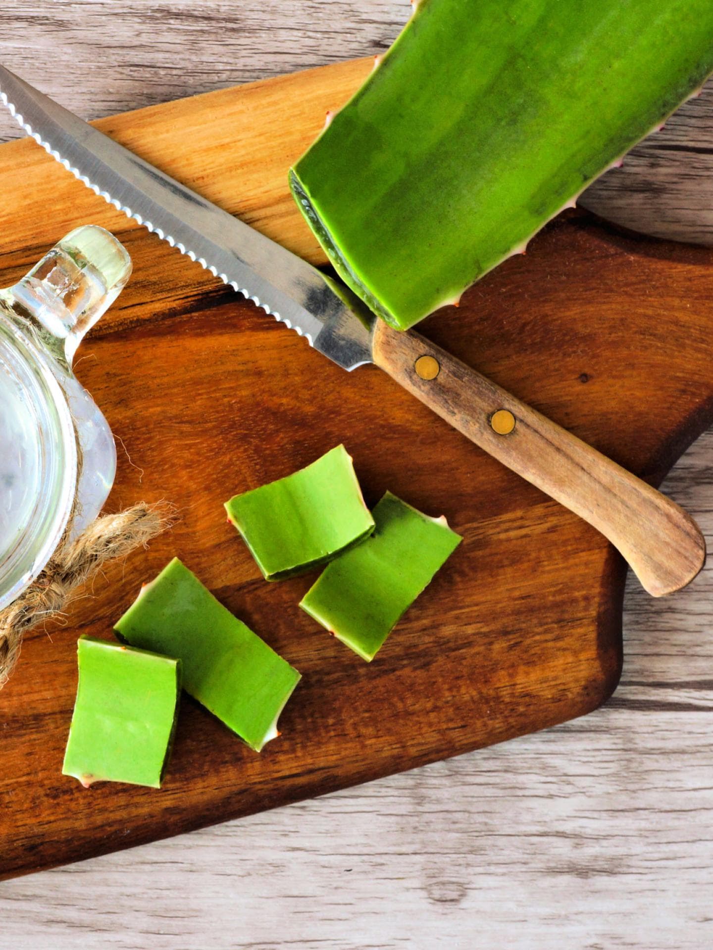 kabak lifli aloe vera sabunu Aloe Vera Sabunu | Kabak Lifli