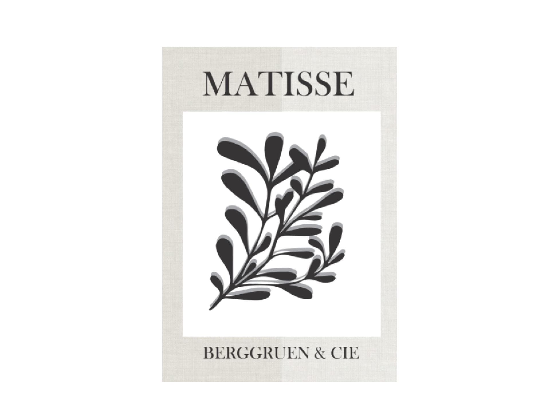 Matisse Coffee Table Book