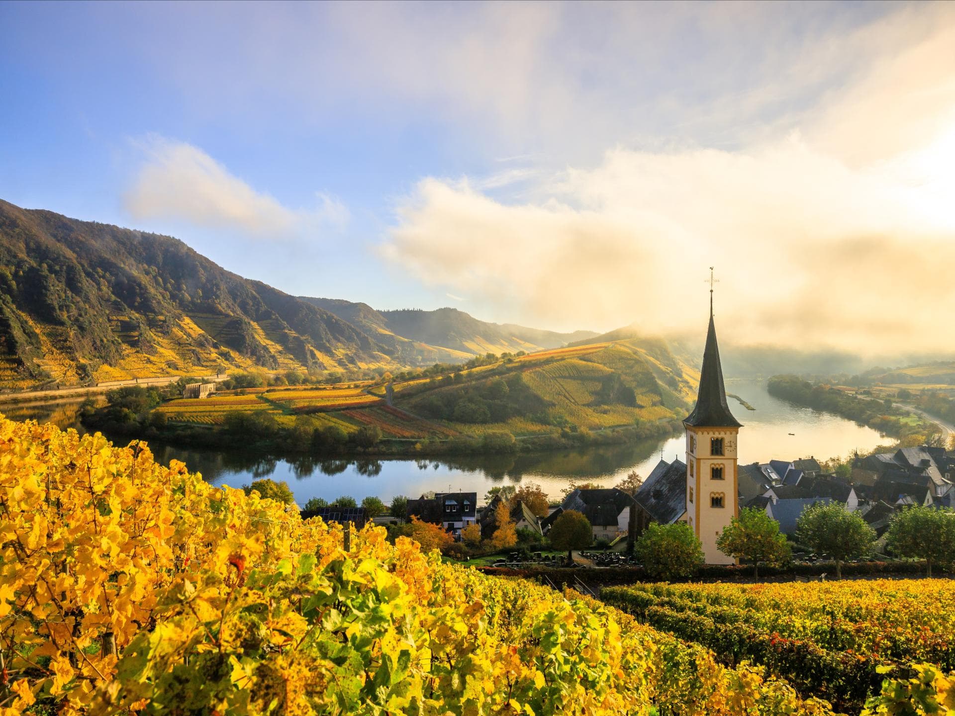 Weinberge Mosel