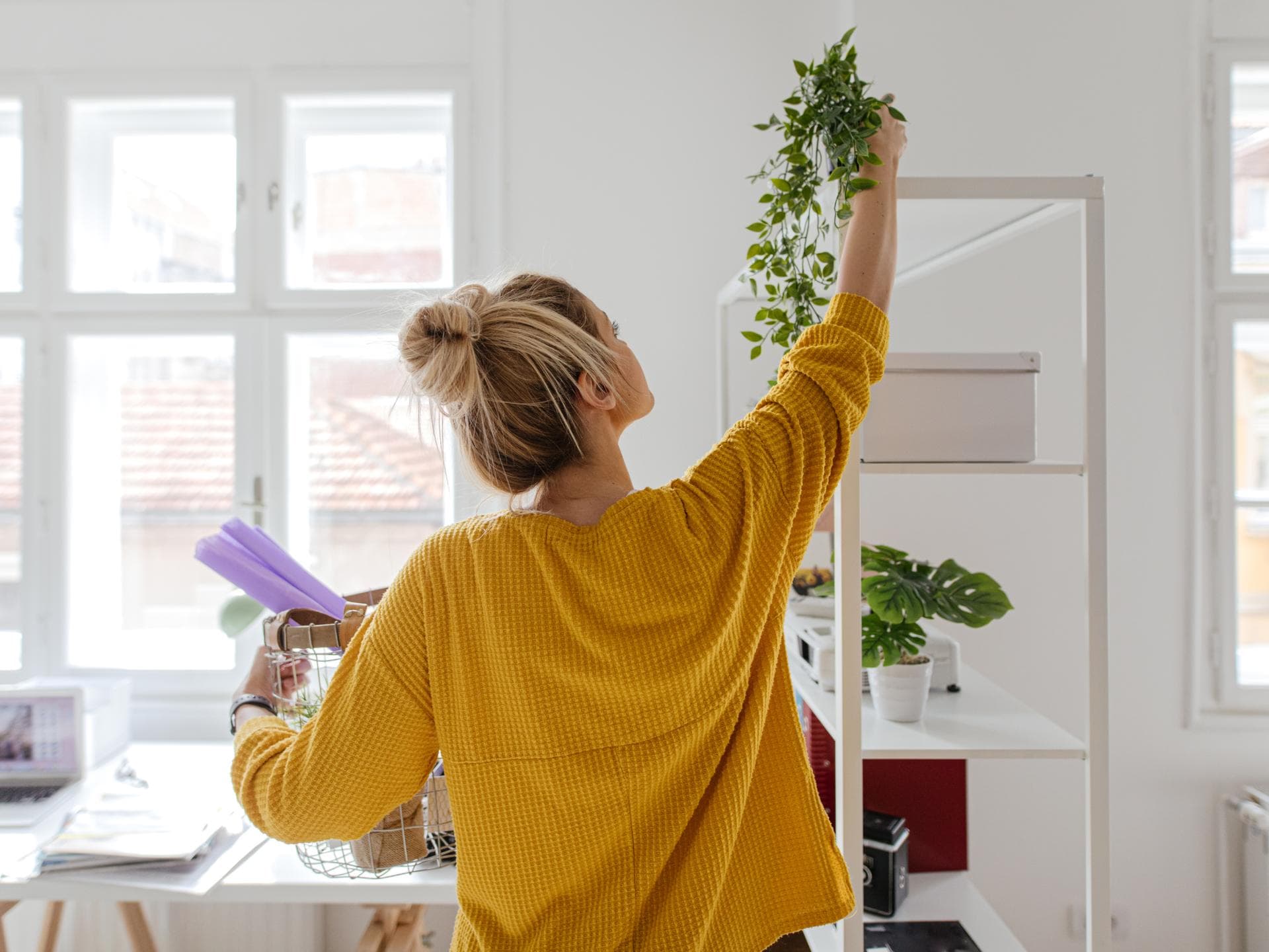 Frau stellt in ihrer Wohnung eine kleine Pflanze auf ein weißes Regal