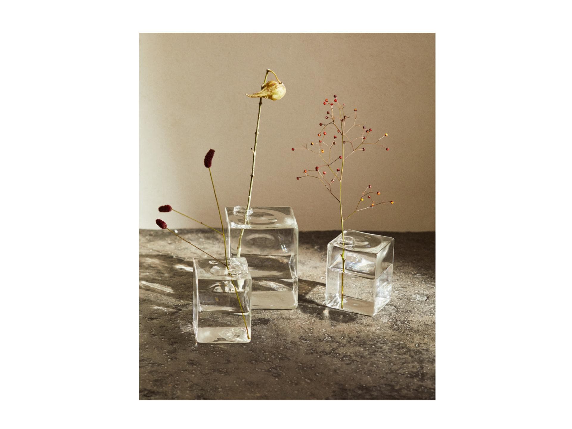 Transparente Vasen Zara Home