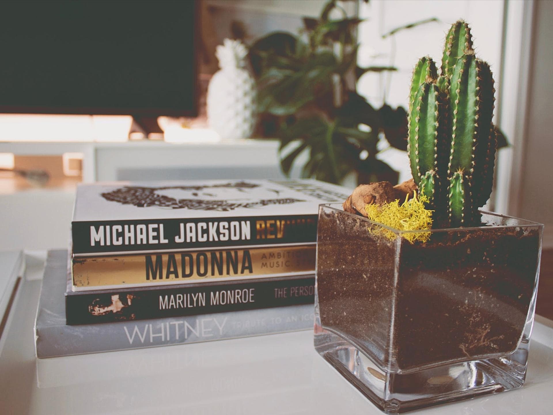 Dekorieren mit Coffee Table Books