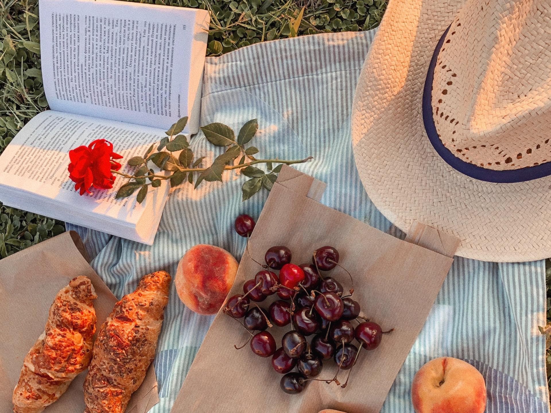 Picknickdecke mit Obst und Buch