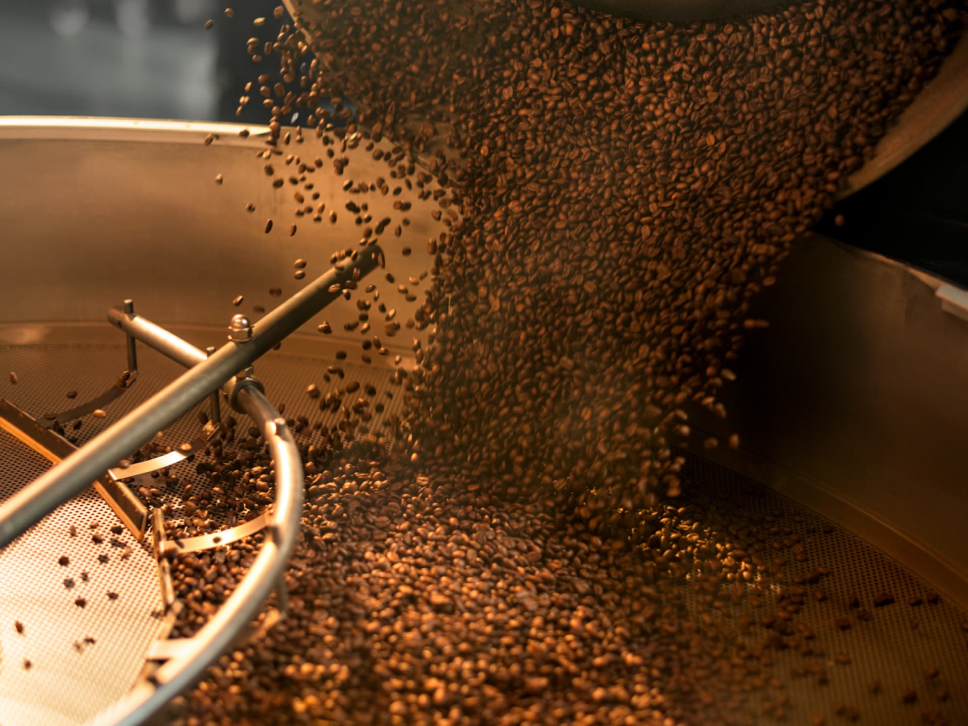 Frisch gerösteter Spezialitätenkaffee Frisch gerösteter Spezialitätenkaffee