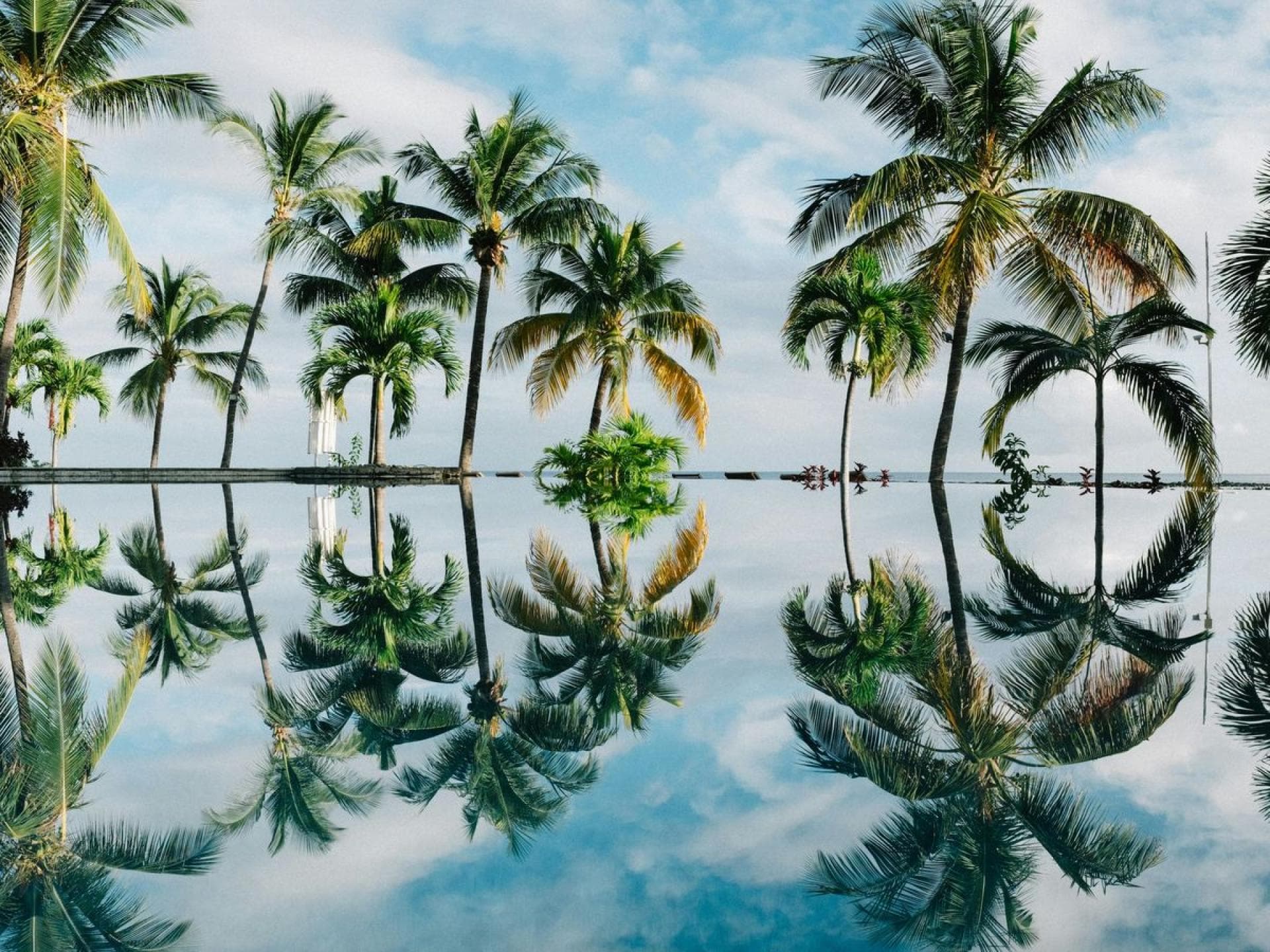 Traumstrand mit einer traumhaften Palmenkulisse: Der Strand Flic en Flac auf Mauritius
