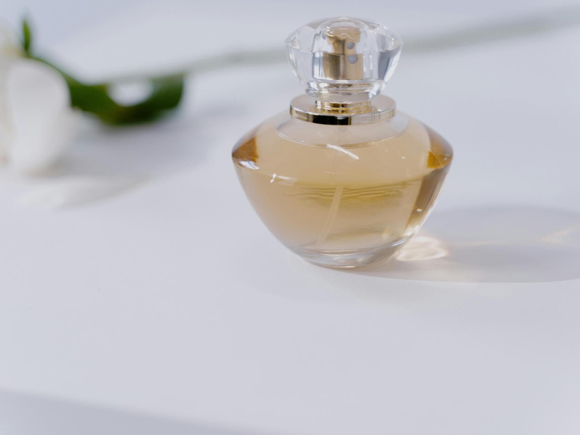 Parfums mit Ylang-Ylang
