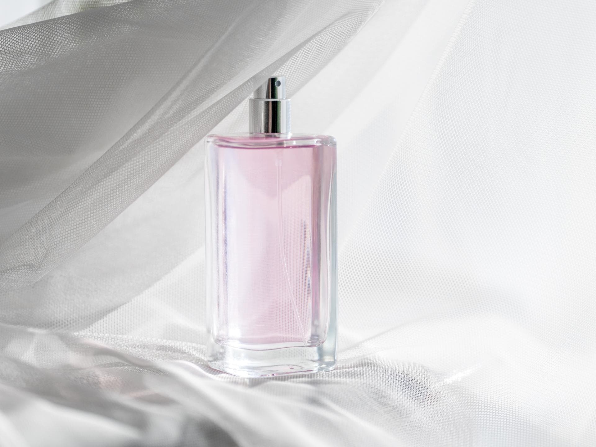 Parfum-Trends