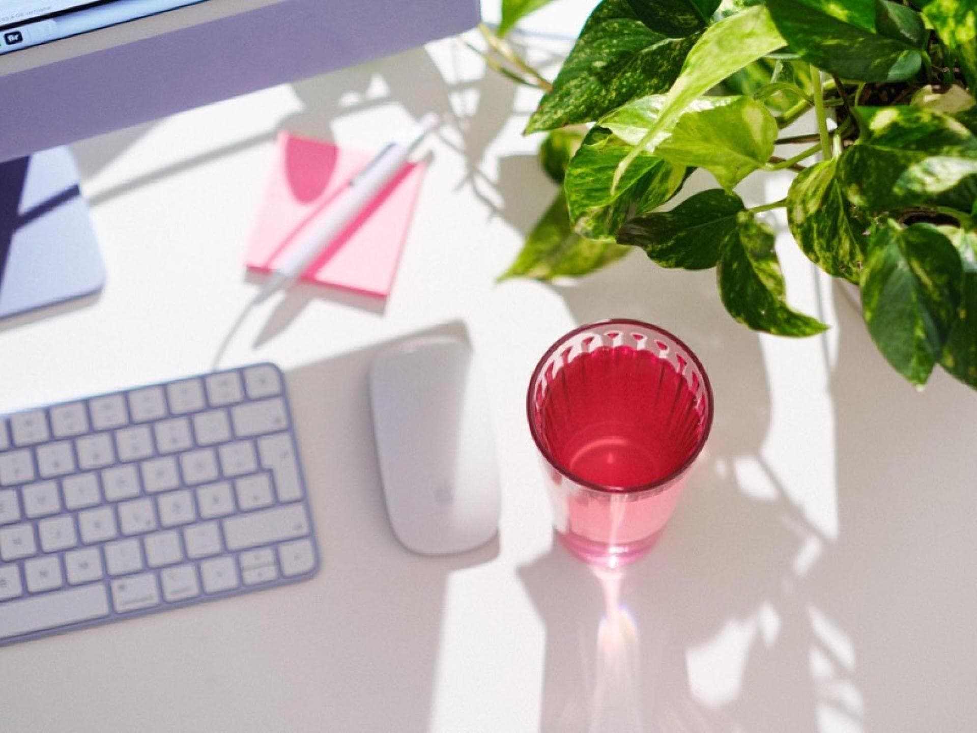Auf einem Schreibtisch steht ein Glas und ein Computer