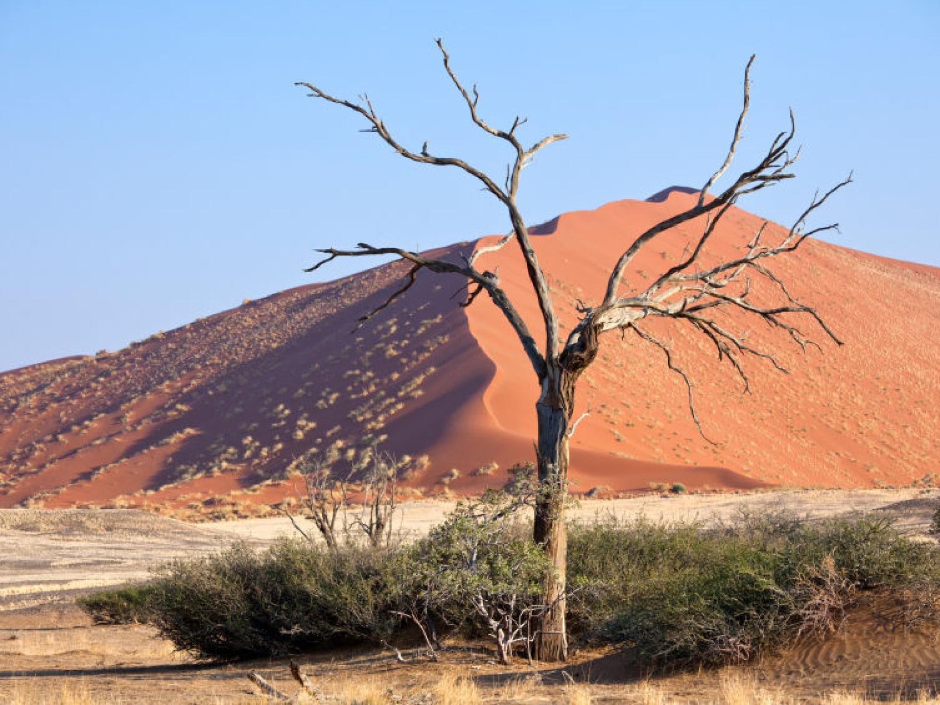 Die Landschaft Namibias